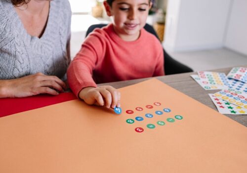 PREP Matematik Türkçe