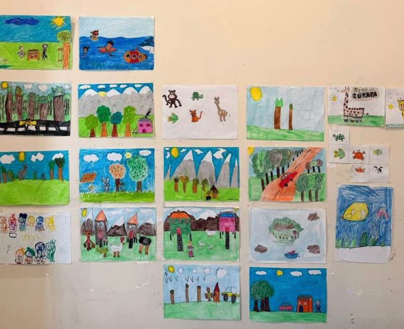 Örnek Çalışmalar